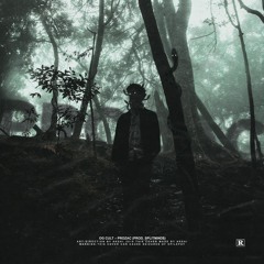 PROZAC (prod. splitmind$)