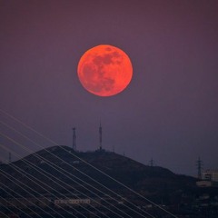 ENEREL - HARIULT HEREGGUI (LYRIC VIDEO)