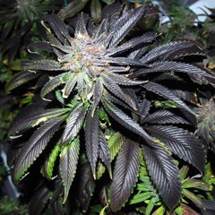 Smoke 2 dis (round n round INterlude)