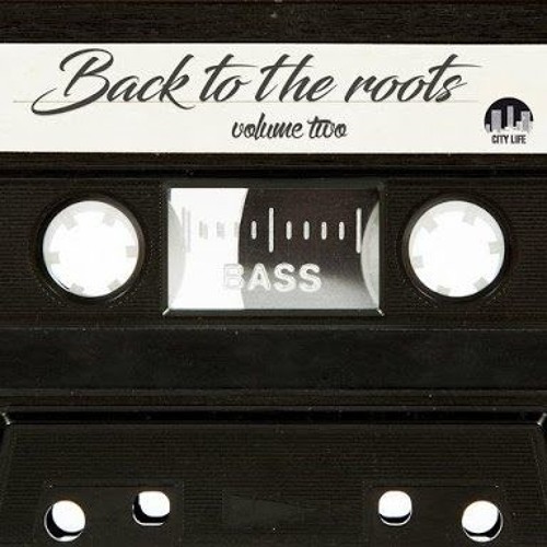 Dj Bobby Digital - Back to the roots vol 2  (2018)