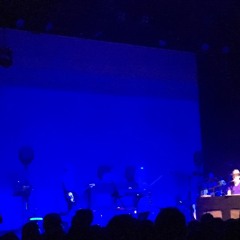 Belle & Sebastian : Fox in the snow