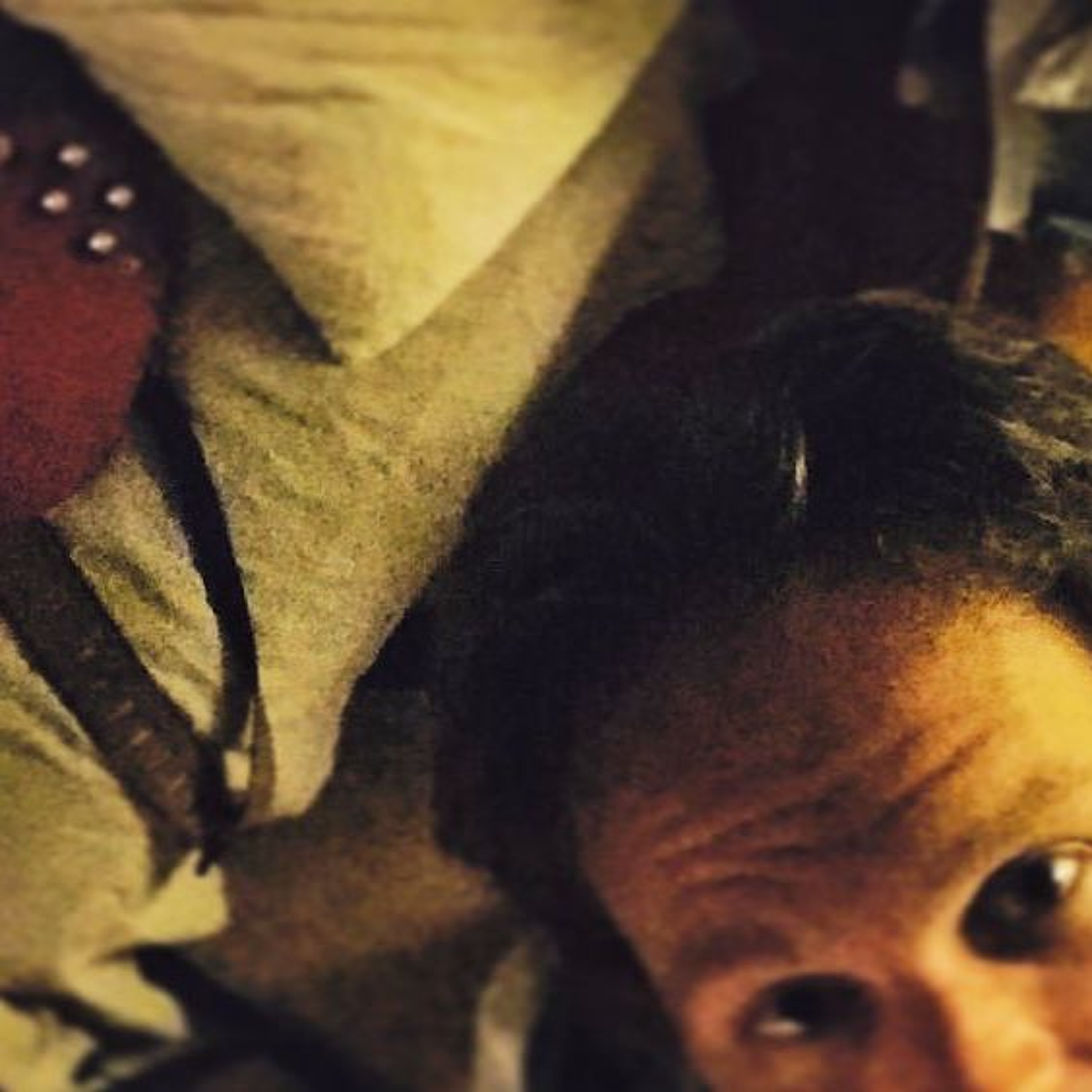 CRYSTALIZED episode artwork