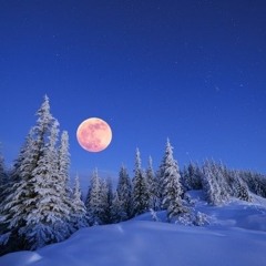 The Wintermoon