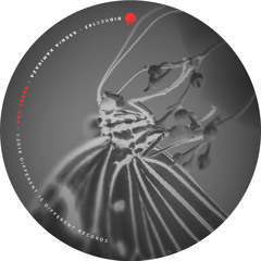 Ksenia Kamikaza - Electric Light [DIDREC143]