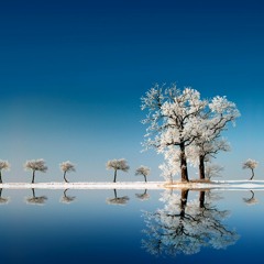 Yara Ma Kawa Bane Shah Farooq By M Nisar Sani Khattak