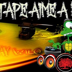 2018 DeEjay Wilo 974 Mix Tape AIME A NOU