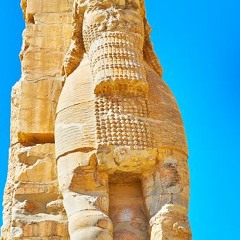 Collosus Rex