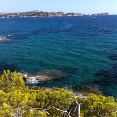 Don Bacano -  champagne (prod. URB$,Lenny Go2&reverse)