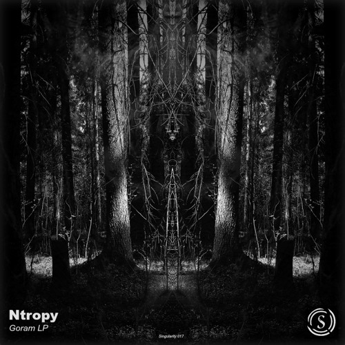 Ntropy & Bayou - Get Them Wise (original Mix)