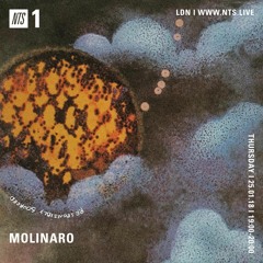 RESPONSIBLY SOURCED [3] - NTS