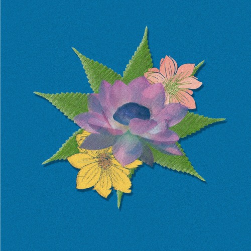 lotus ep
