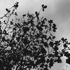 geisha-pergi saja (cover)