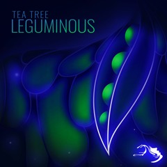 Tea Tree - Tea Tech sample [Mindspring Music]