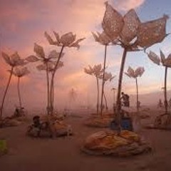 Brad Hart Burning man 2016 part 1