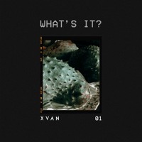 XVAN - What's It?