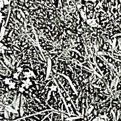 Sonic Weather Report