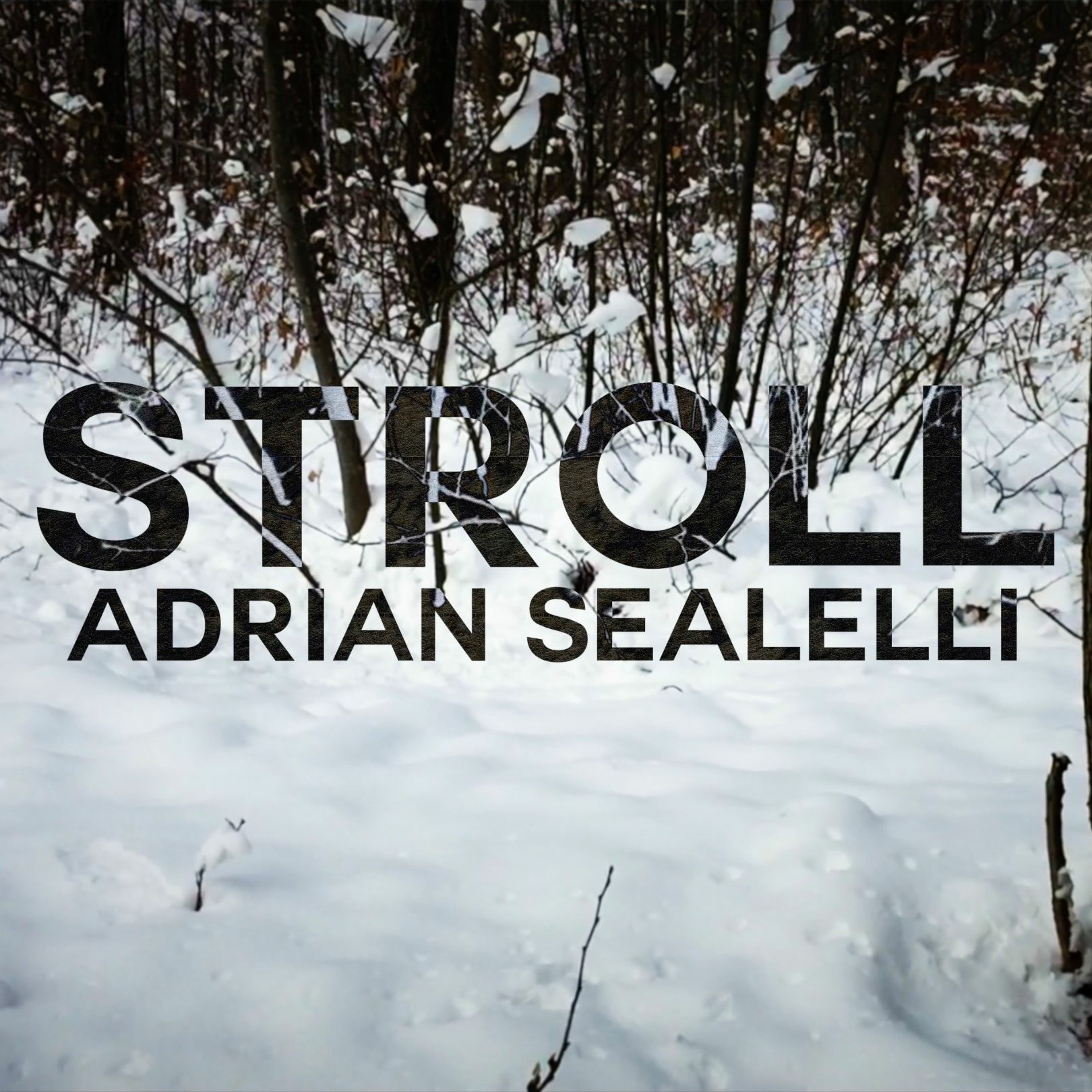 Adrian Sealelli