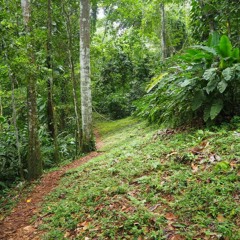 Nature Calls