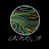 calpurnia-original-song-2-sam-is-a-lesbian