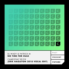 DJ Wady & Patrick M - 'No Time For Hulk' - CamelPhat Re-Fix (Erik Hagleton 2018 Vocal Edit)