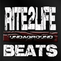 DRIVE ME CRAZY      (HOOK)