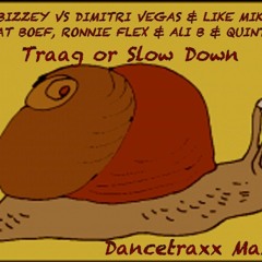 Bizzey vs Dimitri Vegas & Like Mike, Boef, Ronnie Flex - Traag Or Slow Down (Dancetraxx Mashup)