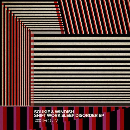 Soukie & Windish - Shift Work Sleep Disorder (Preview)