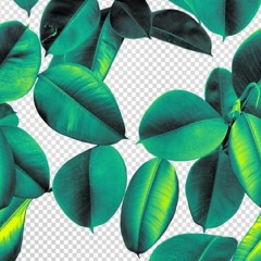 Leaves **FREE DOWNLOAD**
