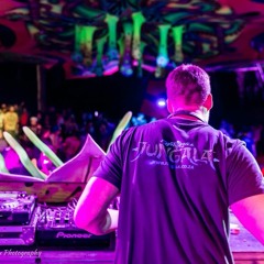 System_Theory @ JUNGALA Festival_Nov_2017