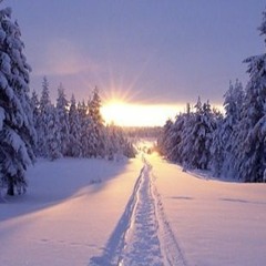 Winter vibes February 2018