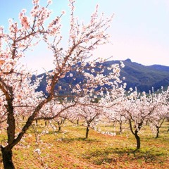 new beat. with or without you (2/8/2018)