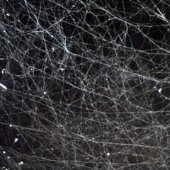 ARTCØRE [TECHNO] - Cobwebs (original mix) FREEDOWNLOAD