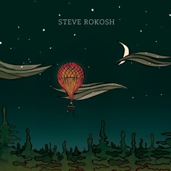 Steve Rokosh - Wondering