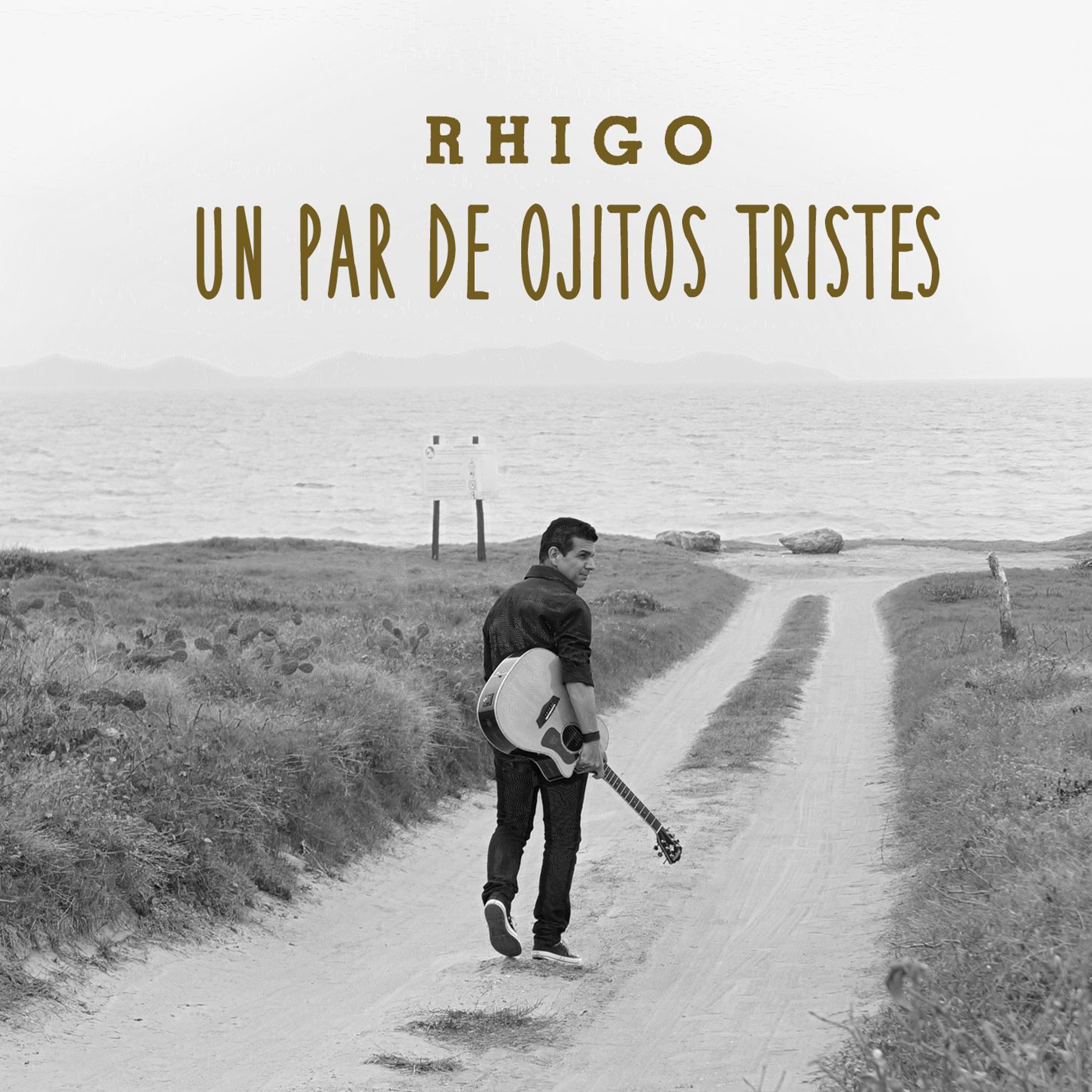 Rhigo