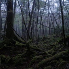 Solvm - Cashmere Woods ft. Lessworth (Prod. by The Martianz)