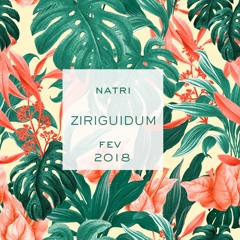 ZIRIGUIDUM - Fev 2018