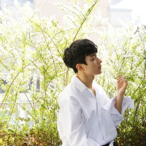 [COVER] 도겸-사랑했던걸까 (원곡-양다일)