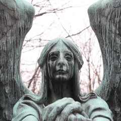 Angel Tears - CHxSensei