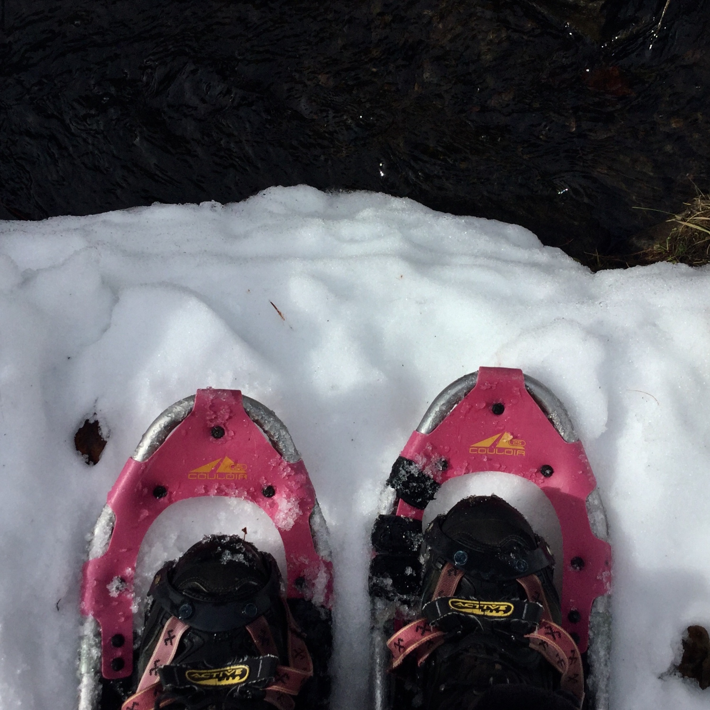 FIELDNOTES: I report on climate crisis, snowpack, aspen decline & mt water episode artwork