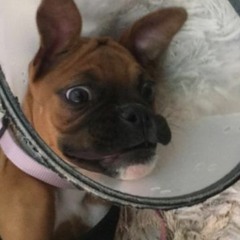 Good Day (ft. notyoungdoherty)