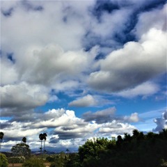 Stream of Conscious *Day 30*