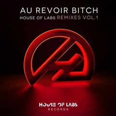 House Of Labs - Au Revoir Bitch (GSP Remix)