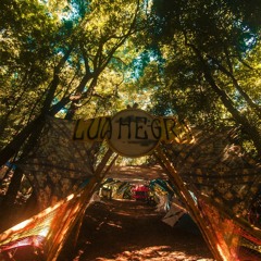 Thales - Forest Tunnel