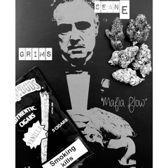 Mafia Flow ft. SeanE