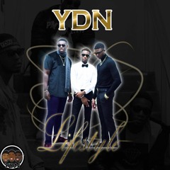 YDN - Like Dis ft. KingBulu