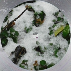 Wintry Final Examination