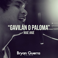 José José - Gavilán o Paloma