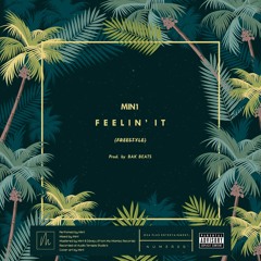 Feelin' It "Freestyle" (Prod. by Bak Beat)
