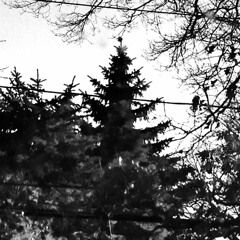 cold outside (Acoustic Version)