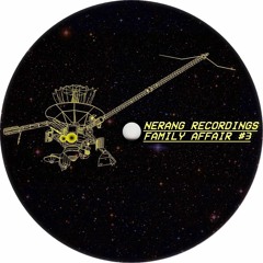 PREMIERE: t e s t p r e s s  - Pimp Shit [Nerang Recordings]